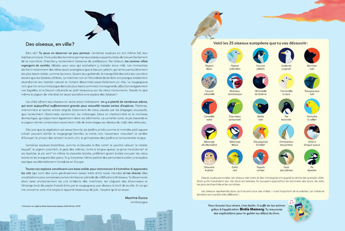 Ecoute les oiseaux des villes