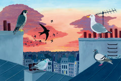 Ecoute les oiseaux des villes