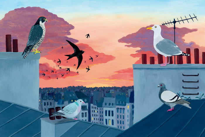 Ecoute les oiseaux des villes