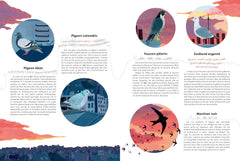 Ecoute les oiseaux des villes