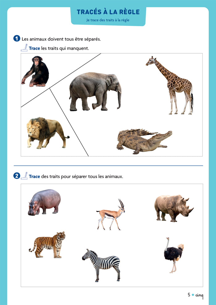 Cap Maths CP - Cahier de Géométrie-Mesure