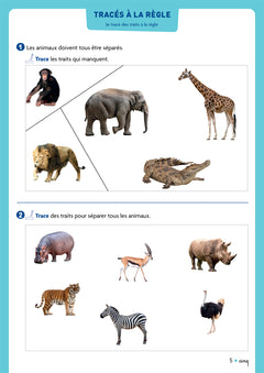 Cap Maths CP - Cahier de Géométrie-Mesure