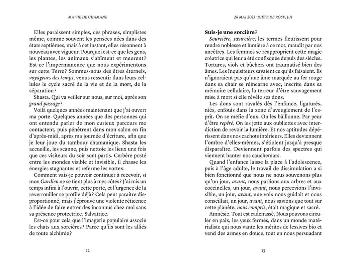Ma vie de chamane
