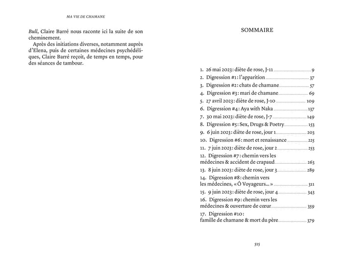 Ma vie de chamane