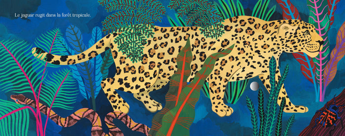 Écoute les animaux de la jungle