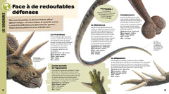 Incroyable encyclopédie junior