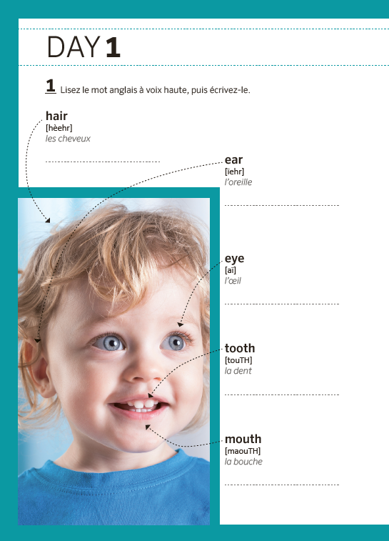 L'anglais en 5 mots par jour