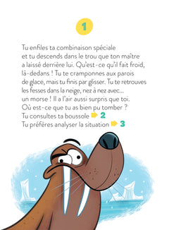 Mission Pôle Nord !