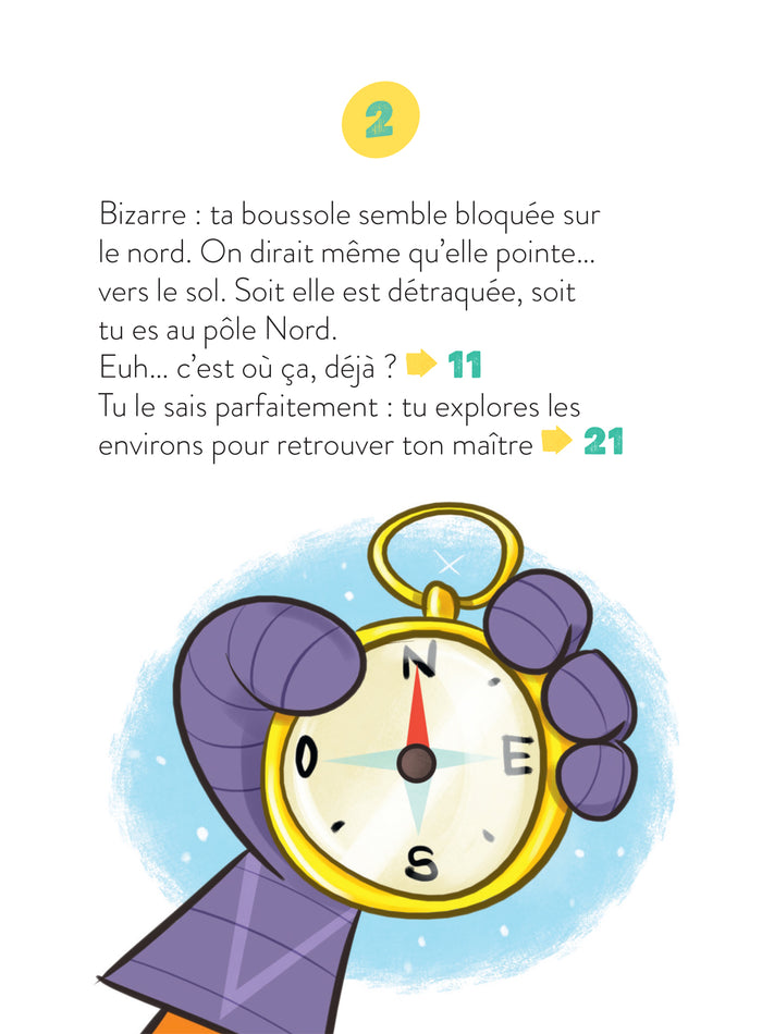 Mission Pôle Nord !