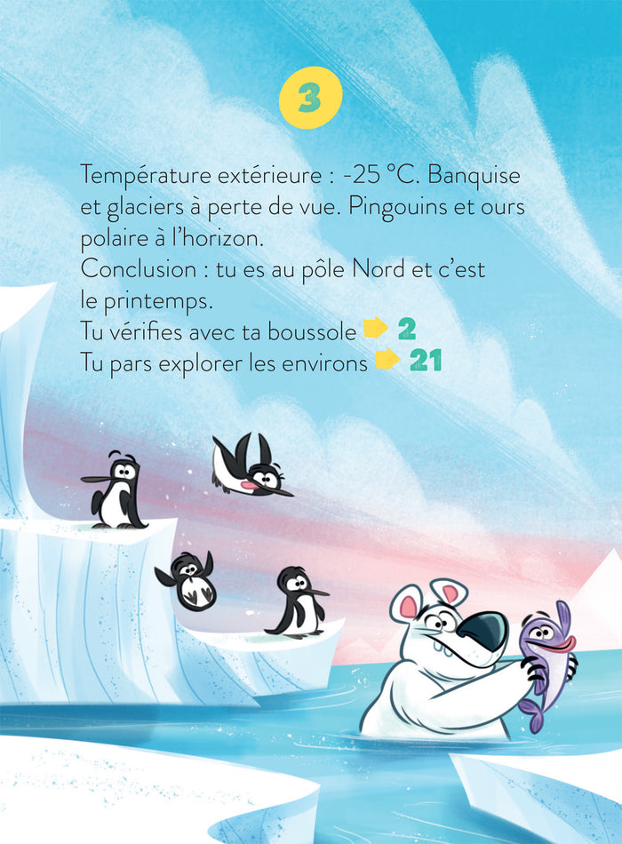 Mission Pôle Nord !