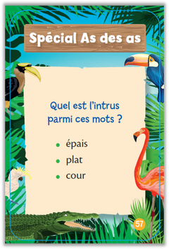 Qui sera le champion en orthographe ?