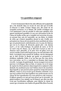 En arrière toute