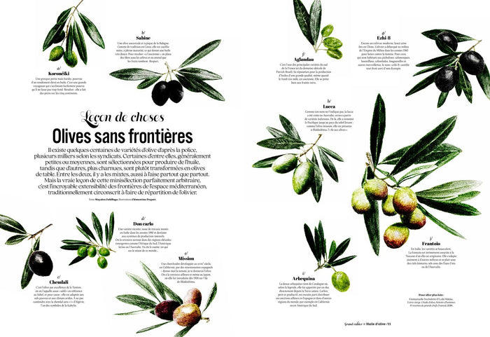 Les grands cahiers 180°C - Huile d'olive