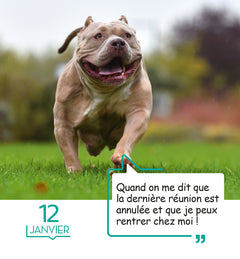 365 mèmes hilarants