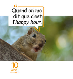 365 mèmes hilarants