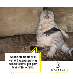 365 mèmes hilarants