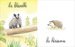 Lionne, lézarde, blairelle - L' imagier des femelles