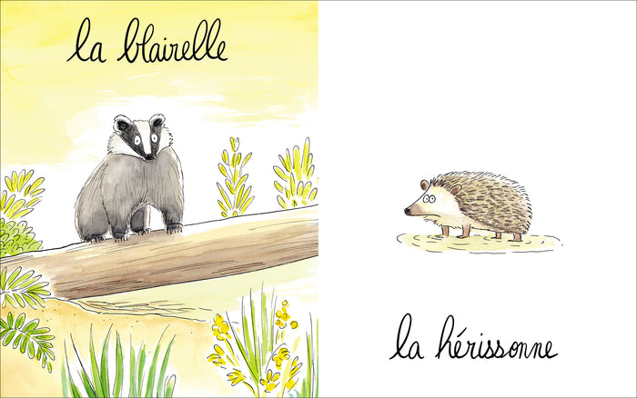 Lionne, lézarde, blairelle - L' imagier des femelles