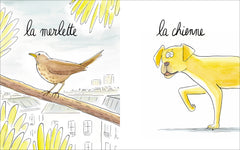 Lionne, lézarde, blairelle - L' imagier des femelles