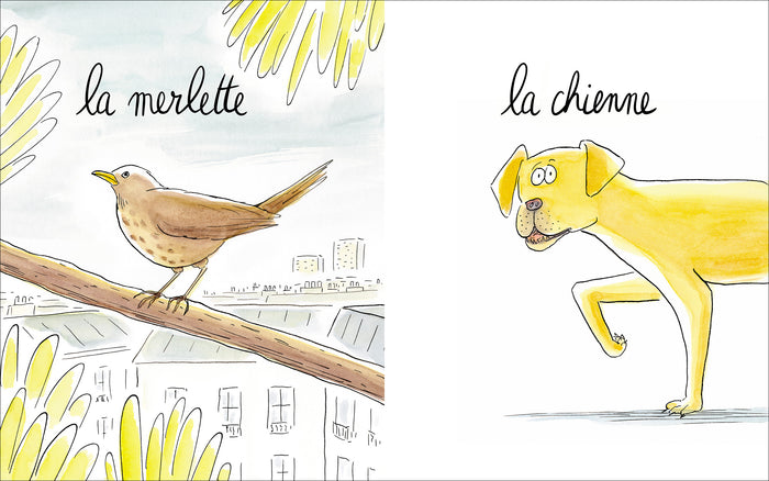 Lionne, lézarde, blairelle - L' imagier des femelles