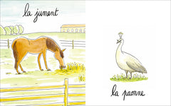 Lionne, lézarde, blairelle - L' imagier des femelles