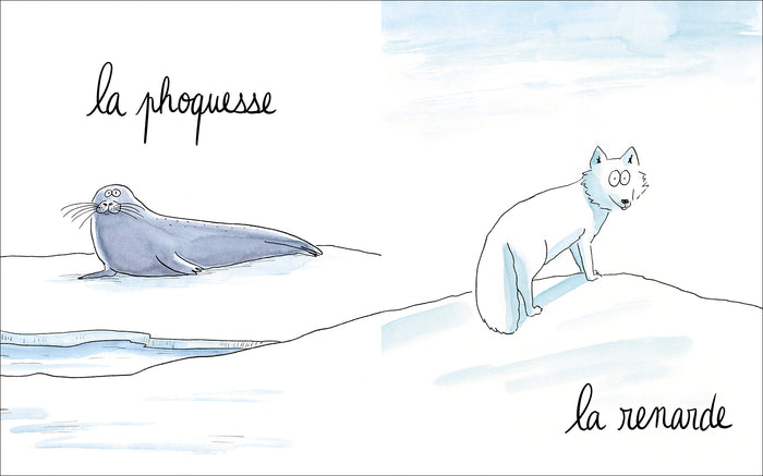 Lionne, lézarde, blairelle - L' imagier des femelles