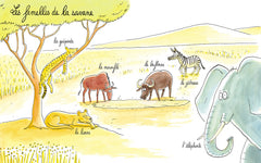 Lionne, lézarde, blairelle - L' imagier des femelles