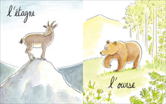 Lionne, lézarde, blairelle - L' imagier des femelles