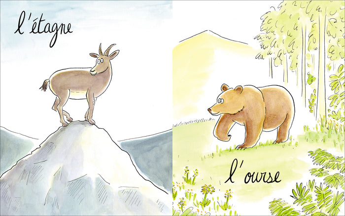 Lionne, lézarde, blairelle - L' imagier des femelles