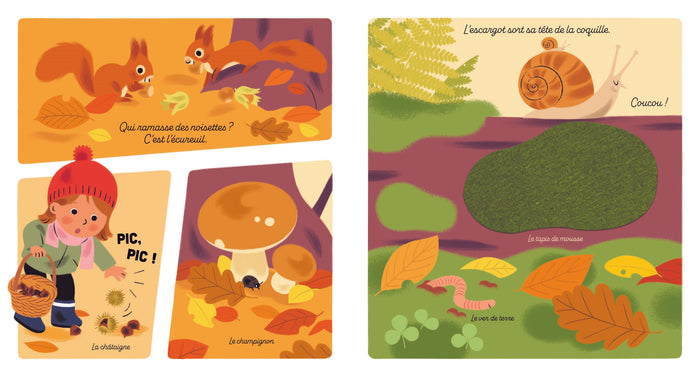 Mon imagier tout doux  - Vive l'Automne