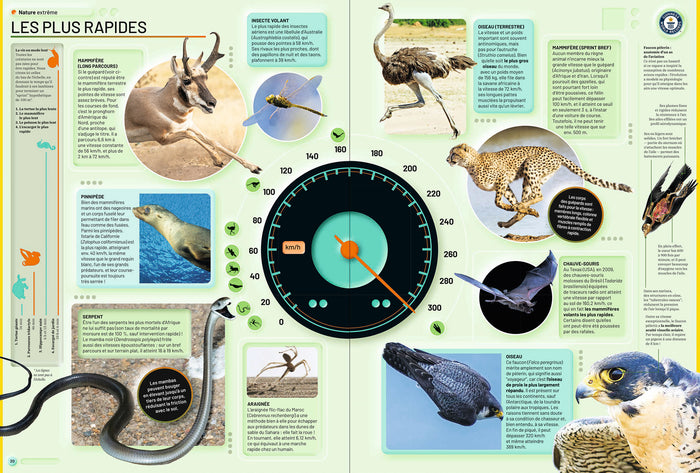 Guinness World Records 2026