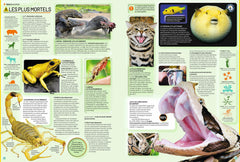 Guinness World Records 2026