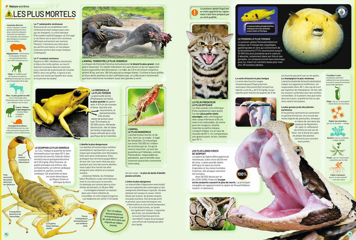 Guinness World Records 2026