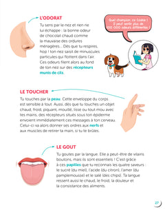 Le corps humain