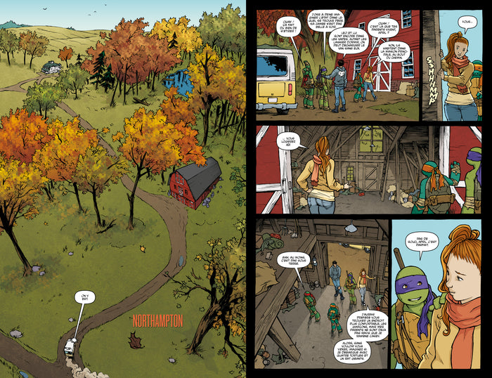 Les Tortues Ninja - TMNT : L'Intégrale T4