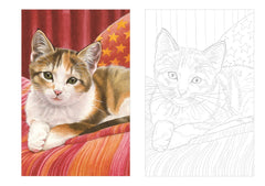 Cartes postales à colorier : Chats à croquer