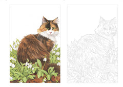 Cartes postales à colorier : Chats à croquer