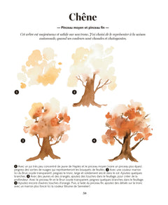 Tout peindre à l'aquarelle - Les arbres et la forêt