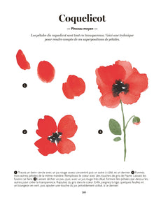 Tout peindre à l'aquarelle - Les arbres et la forêt