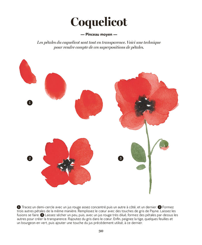 Tout peindre à l'aquarelle - Les arbres et la forêt