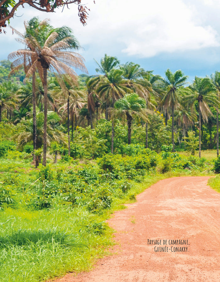 Né pour partir - Récit de Mamadou, migrant mineur de Guinée