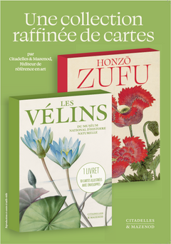 Cartes Honzo Zufu