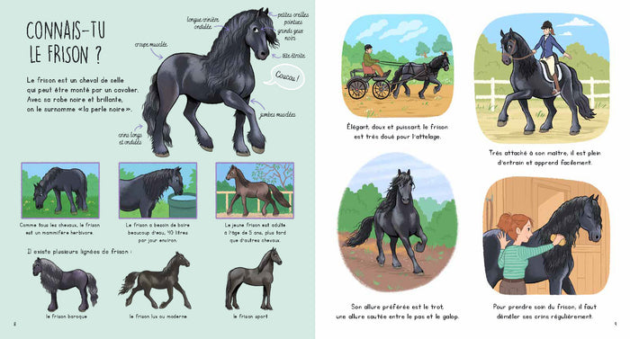 Connais-tu ? Les chevaux et les poneys