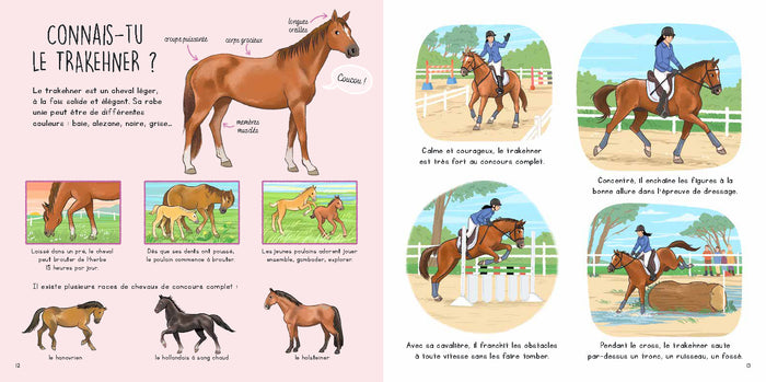 Connais-tu ? Les chevaux et les poneys