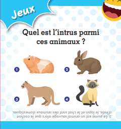 Apéro Quiz ludiques en famille
