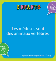 Apéro VRAI ou FAUX en famille