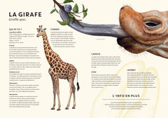 ANIMO RAMA Incroyable Savane