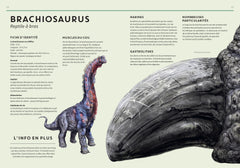 ANIMO RAMA Effroyables dinosaures