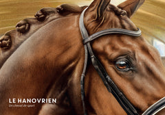 Majestueux chevaux