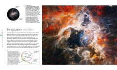 Cosmos